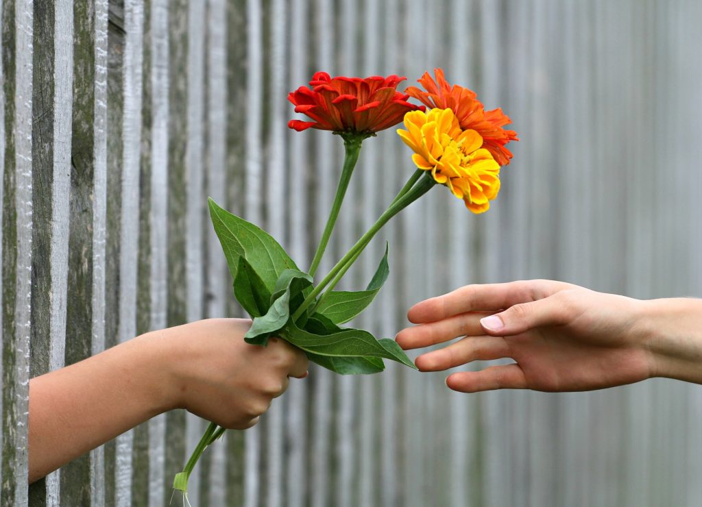 Giving flowers image